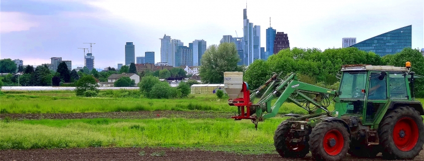 Die Kooperative mit Skyline Frankfurt